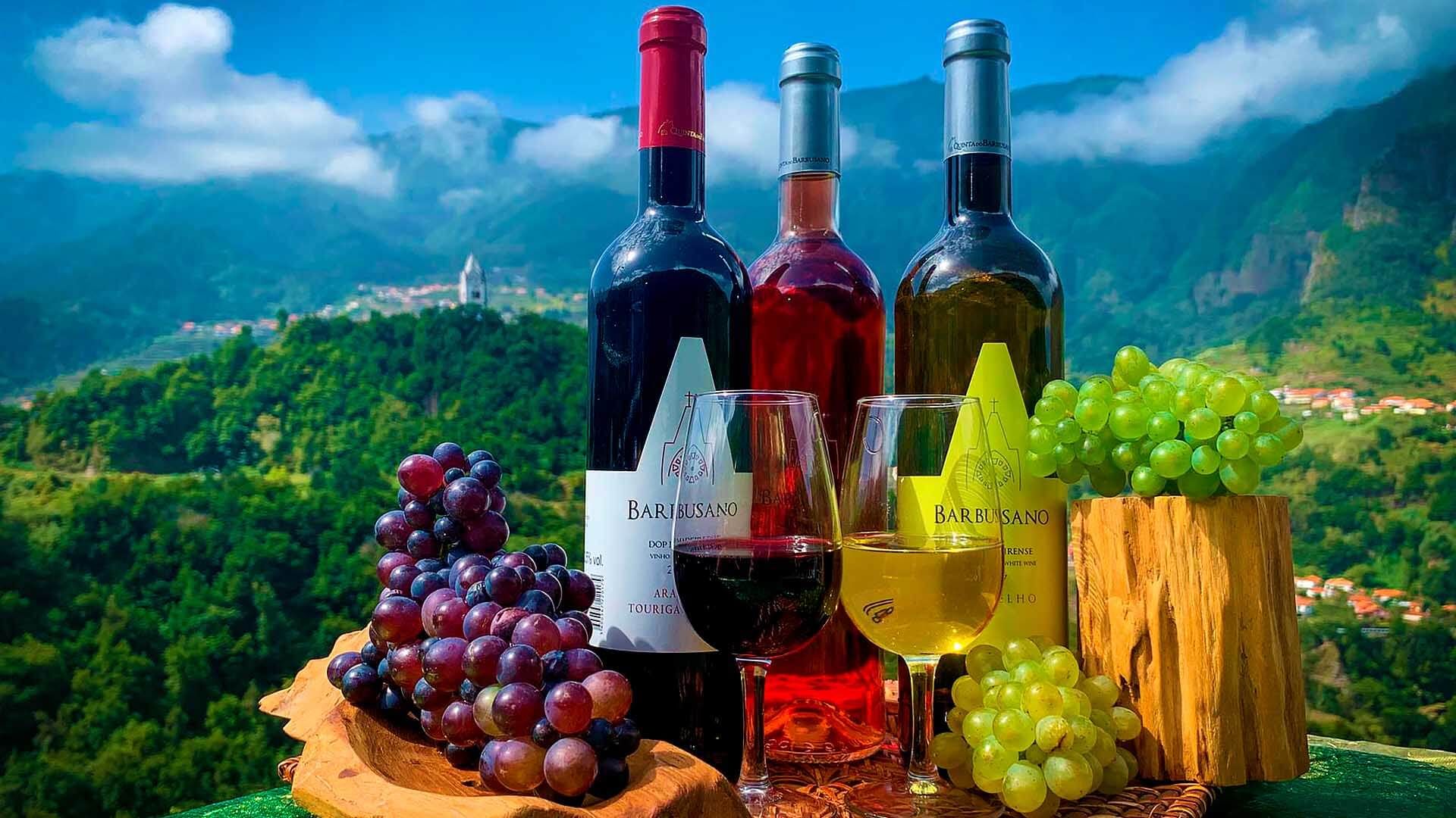 PRIVATE SKYWALK & PROFESSIONAL WINE EXPERIENCE
